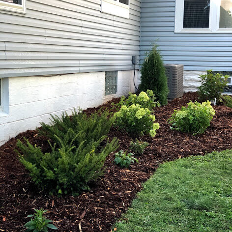 new garden install new garden install